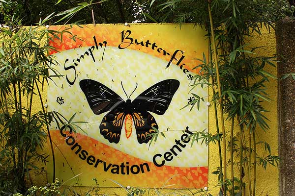 Butterfly Conservation Center