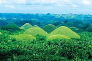 Bohol Countryside Tour